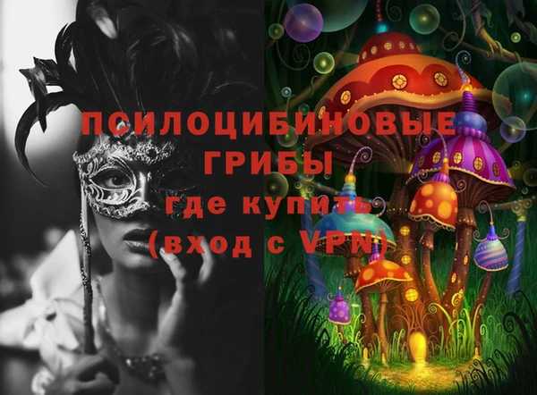 бошки Арсеньев