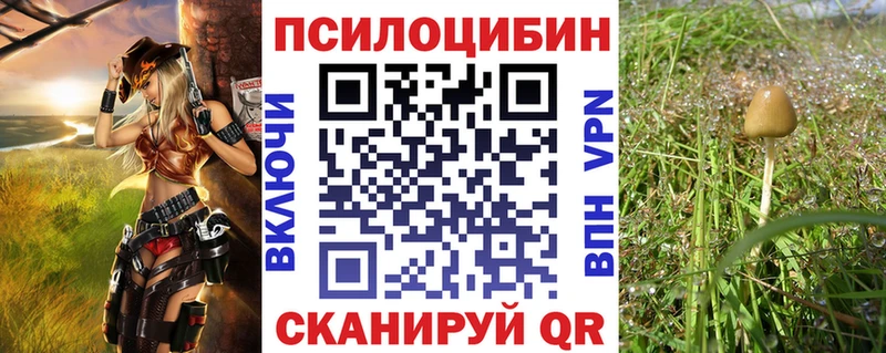 Галлюциногенные грибы Cubensis  где продают   Нововоронеж 